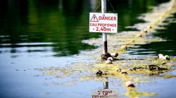 Drowning deaths soar in France as Europe buckles in peak of heatwave