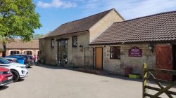 Man arrested on suspicion of attempted murder after boy injured in crocodile enclosure