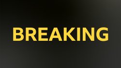 Clarke steps down as Scotland boss after World Cup exit