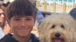 Sydney Harbour shark attack: 12-year-old boy's family give devastating update from bedside