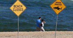 Boy, 13, mauled to death by rampaging shark in brutal attack at tourist hotspot