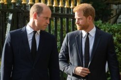 Prince Harry believes 'royal disaster' is on the horizon, warns royal expert