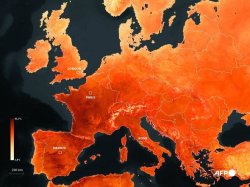 Global fear of climate hits major milestone as UK bakes in 37C heatwave